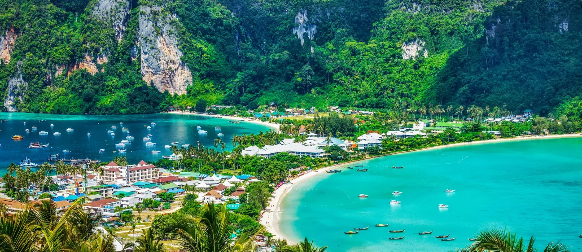 Phi phi